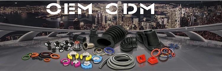 product-750-240 product-750-240